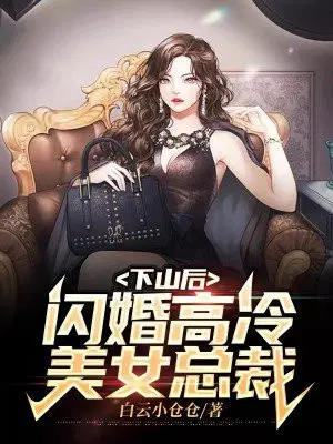 女总裁的盖世龙少